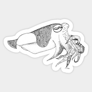 Fancy Little Cuttlefish Sticker